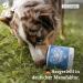 Animal Lover Z-Snack 350g Optimal Reward for Dogs with Black Cumin Oil & Coconut | 2-Month Ration | Ideal for Medium-Sized Dogs - Buy Online on GoSupps.com