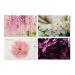 Floral & Green Sample Vial Set (Green & Fruit)