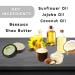 Solid Cologne Men's Bergamot and Cedar Solid Cologne Balm Wax Bergamot Cologne for men Solid Perfume with a Citrus Bergamot Scent (1 Ounce Bergamot Perfume Mens Cologne Balm) - Buy Online on GoSupps.com