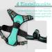 Rabbitgoo Medium Dog Harness - No Pull Adjustable Breathable Control Harness for Large Dogs - Reflex Stripes Safe Guide in Mint Green (1 Pack) - Buy Online on GoSupps.com