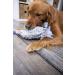 goDog Dinos Squeaker Plush Dog Toy - Chew Resistant & Durable - Large Frills (Gray) - Buy Online on GoSupps.com