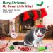 VavoPaw Christmas Stocking Cat Toys - Interactive Santa Claus Teaser Wand, Plush Rat Ball & Gingerbread Man - Fun Holiday Gifts for Cats - Buy Online on GoSupps.com