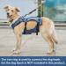 COODEO Dog Lifting Harness - Adjustable Breathable Support for Rehabilitation | Ideal for Old & Disabled Pets - Blue - International Shipping - Buy Online on GoSupps.com