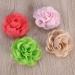 Frcolor 20pcs 3D Rose Flower Hair Clip Set - Chiffon Rose Clips for Women and Girls - Buy Online on GoSupps.com
