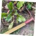 Buy OHPHCALL 5ST Wooden Handle for Agricultural Tools | High-Performance Beech Garden Tools | International Shipping Available - Buy Online on GoSupps.com