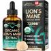 Lions Mane Liquid - USDA Certified Organic Lions Mane Supplement - Brain Support Energy Memory & Focus - Sugar & Alcohol-Free Lion's Mane Mushroom Extract 72 000 mg / Bottle 2 Fl OZ 2 Month Supply 2 Fl Oz (Pack of 1)