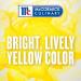 McCormick Culinary Egg Shade Yellow Food Coloring 16 fl oz - Vibrant Yellow Dye for Frostings, Icings, Cheese Dishes - 1 Bottle - Buy Online on GoSupps.com