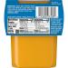 Gerber Turkey Rice Dinner 2nd Foods - 2 Pack (4 oz Each) | Nutritional Baby Food - Buy Online on GoSupps.com
