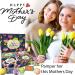 Organic Bath Bombs Gift Set for Women - 24 Natural Oils with Shea Butter for Relaxation and Stress Relief | Perfect for Wife, Girls & Kids - Buy Online on GoSupps.com