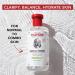 THAYERS Alcohol-Free Cucumber Witch Hazel Toner with Aloe Vera 12 Fl Oz - Pack of 3 - Buy Online on GoSupps.com