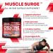 Clean Nutra Creatine Powder for Men + HMB BCAA L Arginine L Citrulline Tongkat Ali Saw Palmetto Ashwagandha Collagen Flax Seed Turmeric Preworkout Stevia Nitric Oxide L Glutamine Amino Acids - Buy Online on GoSupps.com