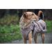 HUNTER UPPSALA Dog Coat - Water-Repellent & Reflective - Size 30 - Taupe | International Shipping Available - Buy Online on GoSupps.com