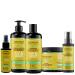 Sheny SAS Kerargan UVprotective Care Package with Marula Oil for Dry and Colored Hair Shampoo Conditioner Mask Serum and 17in1 Without Sulfates GMOs Mineral Oil 3x500 ml + 2x100 ml
