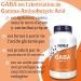 Now Foods GABA (Gamma-Aminobutyric Acid) Vitamin B6 High Dosed 500 mg 200 Vegetable Capsules Laboratory Tested Soy Free Gluten Free Vegetarian - Buy Online on GoSupps.com
