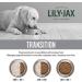 Dry Dog Food - No Corn or Soy - Protein Rich - Puppy Food - Adult Dog Food by Lily & Jax Turkey 2 kg (Pack of 1) Turkey 2 kg (Pack of 1) - Buy Online on GoSupps.com