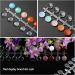 120 Pcs Round Transparent False Nail Display Tips with Adhesive Sticker - Nail Art Color Display Chart for Polish Training and Practicing - Buy Online on GoSupps.com