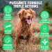JOINTSURE Young & Active Joint Supplements for Dogs and Puppies Helps with Joint Stiffness 60 Tablets - High in Glucosamine & Green Lipped Mussel - Buy Online on GoSupps.com