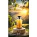 RISE & SHINE EAU DE PARFUM by Volare Unisex - Buy Online on GoSupps.com