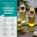 Purely Northwest Tea Tree Oil Body Wash - 18oz - For Unwanted Body Odor, Acne, Jock Itch & Athlete's Foot - Men & Women - Buy Online on GoSupps.com