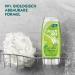 Duschda Lime Mint Shower Gel - 6x225ml Fresh-Energy Formula for a Refreshing Start - International Shipping - Buy Online on GoSupps.com