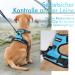 Rabbitgoo Medium Dog Harness - No Pull Adjustable Breathable Control Harness for Large Dogs - Light Blue - Buy Online on GoSupps.com