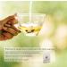 Octavius Pure Green Tea Assorted Variety Pack - 100 Enveloped Double Chamber Tea Bags - Ideal for Tea Lovers - Pack of 1 - Buy Online on GoSupps.com