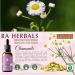 Sun God Medicinals Ra Herbals Organic Chamomile Liquid Extract - Nervous System Support - 1 fl oz - Buy Online on GoSupps.com