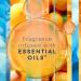 Glade Candle Jar - Coastal Sunshine Citrus Air Freshener | 3.4 Oz - Freshen Your Space - Buy Online on GoSupps.com