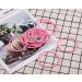 Distinctive Style 2.5mm Pink Elastic Hair Bands - 50 Pieces | Ponytail Holders - Buy Online on GoSupps.com