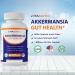 Vitamatic Akkermansia Muciniphila Gut Health Capsules - 60 Delayed Release Capsules with Prebiotic Inulin Fiber | Boost Digestive Wellness - Buy Online on GoSupps.com