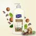 Suave Skin Solutions Cocoa Butter & Shea Body Lotion 18 Fl Oz (Pack of 6) - Moisturizing Skincare - Buy Online on GoSupps.com