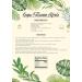 Emma Basic Konjac Fettuccine 12x200g - Sugar Free, Fat Free, Gluten Free, Vegan | Zero Carbs, Healthy Pasta - Buy Online on GoSupps.com