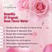 Organic Alcohol Free Rose Water Face Toner - 100% Pure & Natural - 150ml - Buy Online on GoSupps.com