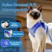 Soft Cat Vest with Leash & Supet Cat Dishes for Kittens & Small Dogs - Blue Size S (26-32 cm) - Ideal for Chihuahua & Pets - Buy Online on GoSupps.com