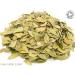 Organic Uva Ursi Leaf Pure Herbal Infusion (25 Unbleached Tea Bags - 50g) - Buy Online on GoSupps.com