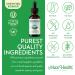 Maxi Health Stinging Nettle Leaf and Goldenseal Root Blend - Alcohol Free Tincture with Organic Nettle Leaf (Urtica Dioica) - Urinary Health Kidney Support - Nettle Extract Liquid Drops 1 fl Ounce - Buy Online on GoSupps.com