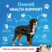 Omega 3 Fish Oil for Dogs 16 OZ - Better Than Salmon Oil for Dogs - Dog Fish Oil EPA DHA- Fish Oil Liquid for Pets - Skin and Coat Food Supplement for Dogs - Allergy Itch Shedding Dry Skin 16 Oz Yellow - Buy Online on GoSupps.com