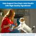 Cosequin Maximum Strength Joint Supplement for Dogs | Glucosamine & Chondroitin Plus MSM - Buy Online on GoSupps.com