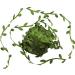 David Accessories Olive Green Leaf Trim Ribbon - 20 Yards for DIY Crafts, Weddings, Home Decor - Buy Online on GoSupps.com