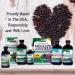 Nature's Answer Sambucus Immune Support with Echinacea & Astragalus - 12000 mg, 8 fl oz - Buy Online on GoSupps.com