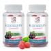 Immune System Support - Elderberry Gummies - Plant-Based Black Elderberry with Vitamin C All-Natural Ingredients - Raspberry Flavor Antioxidants Non-GMO Gluten-Free Soy-Free 2 Bot 120 Gummies