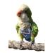 HEZHUO Bird Clothes Parrot diapers bird flight suits reusable waterproof diapers pet bird supplies POLI (M)
