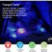 Cloud b Tranquil Turtle Purple Nightlight Ocean Projector | Soothing Sounds | Adjustable Brightness | Auto-Shutoff - Buy Online on GoSupps.com