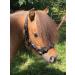 JF-Reitsport Cavesson Pro 2021 - 4-Way Adjustable Soft & Shock-Absorbing Padded for Warmbloods | International Shipping Available - Buy Online on GoSupps.com