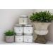 White Egret Eucalyptus Epsom Salt 2.5lb - Soothing Muscle Relief - Buy Online on GoSupps.com