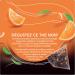 Lipton Th Noir Orange l'orange d'Espagne 20 Sachets Pyramid  - Buy Online on GoSupps.com