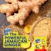 Jamaica Mountain Peak Ginger Instant Tea Unsweetened 14 sachets - Buy Online on GoSupps.com