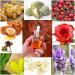 High Voltage Oil | Anti-Aging Facial Serum for Wrinkles & Dark Spots | Hydrating Vitamin C A E Infused Moisturizer | 30ml - Buy Online on GoSupps.com