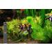 10-Piece Aquarium Thermometer Stickers - Accurate Digital Temperature Strips ( C & F) for Fish Tanks - Buy Online on GoSupps.com
