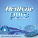Dentyne Pure Mint Sugar-Free Gum with Herbal Accents - 90 Pieces, 10 Packs - Buy Online on GoSupps.com